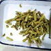 green bean