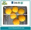 canned yellow peach halves