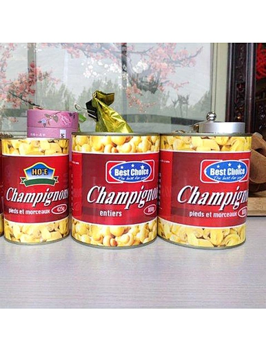 Promotion de champignons shiitake entiers en conserve de qualité supérieure à bouton de paille au me