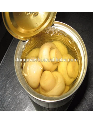 Nutrition nourriture légume en conserve champignon tranché