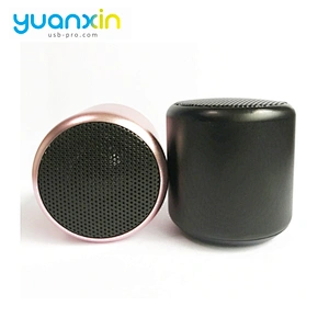 Short Time Delivery Good Reputation speaker