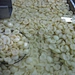 Peeled usine moins cher demi-poire en conserve