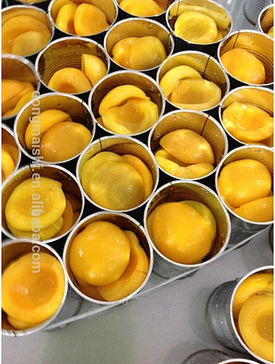 Goût sucré princesse pêche Canning Nectarines sans sucre
