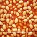 canned white beans in tomato sauce