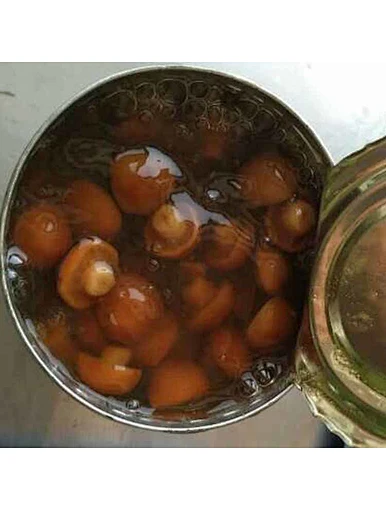 Canned Whole Yellow Mushroom For Hat Sale