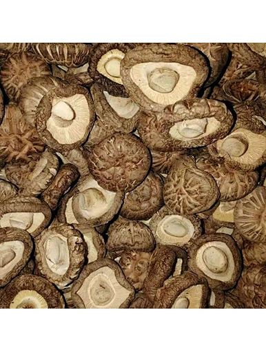 mushroom for sale