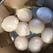 Canned Lychee