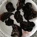 mushroom shiitake