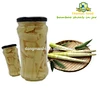 bamboo shoots healthy