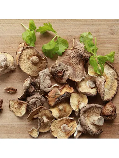 Sac de culture en vrac champignon Shitake séché déshydraté naturel champignon Shitake biologique sac