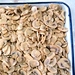mushroom straw mushroom