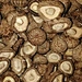 Sac de culture en vrac champignon Shitake séché déshydraté naturel champignon Shitake biologique sac