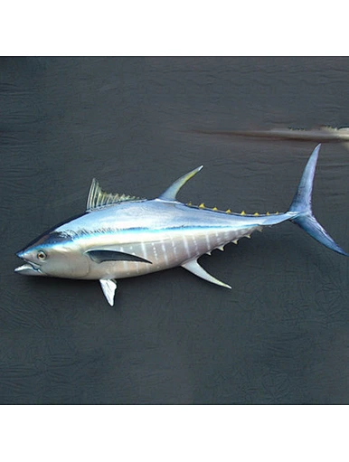 tinned food tuna