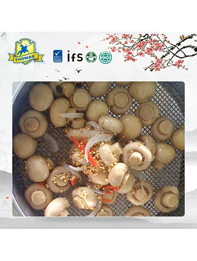 china canned mushroom