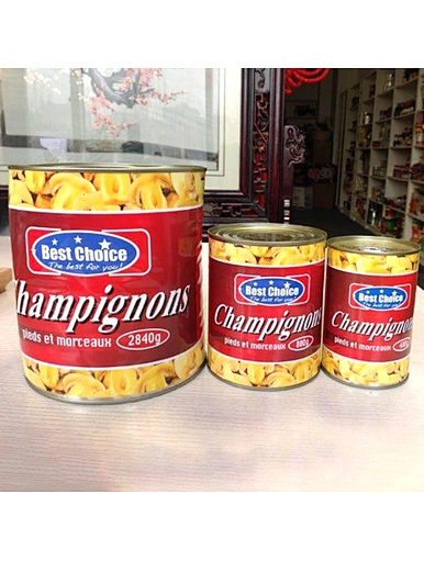 mushroom champignon