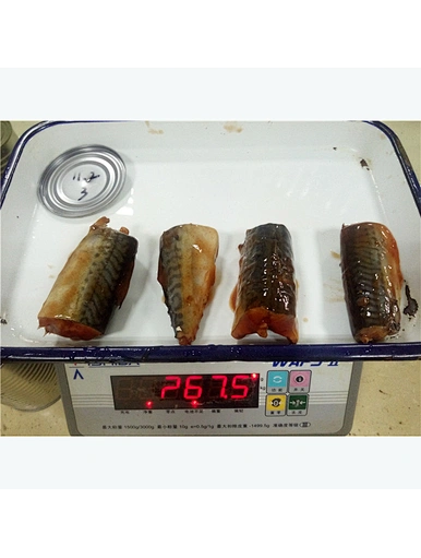 canned fish in tomato sauce