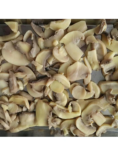 preserved whole champignon mushroom