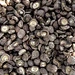 mushroom for sale