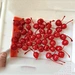Prix usine de gros cerises en conserve biologiques cerises rouges fraîches
