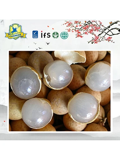 tropical canned longan in syrup
