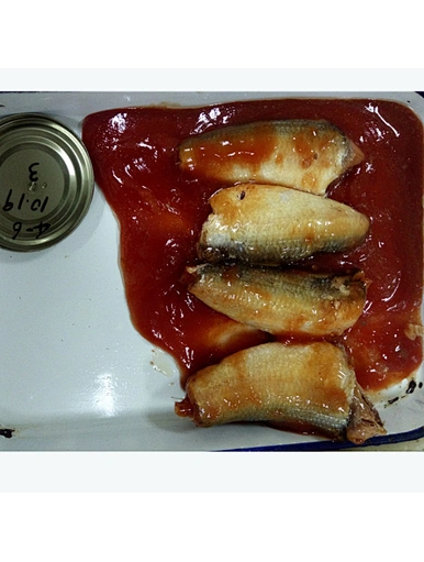 canned mackerel in tomato sauce