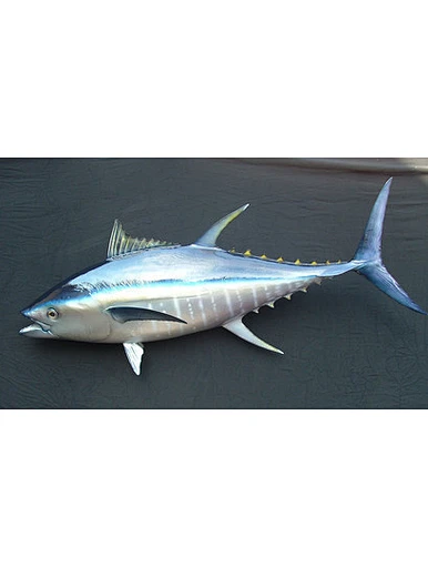 Produits de la mer en conserve et poissons certifiés QS type thon