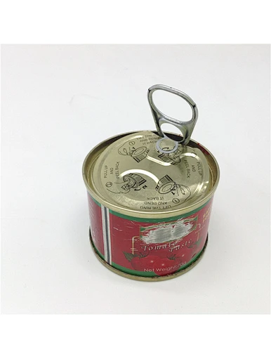 Gros délicieux BBQ assaisonnement sauce tomate