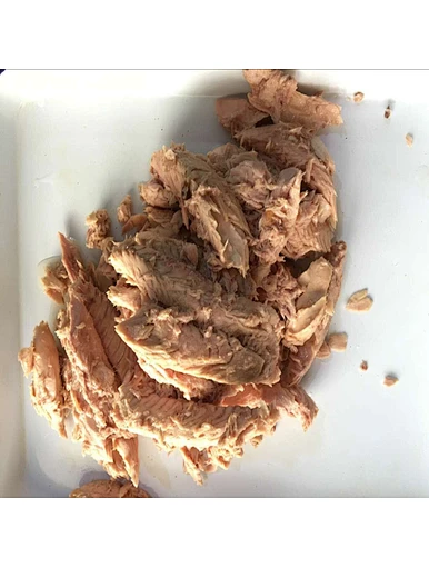 tuna fish canned tuna