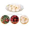 lychees canned