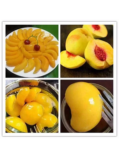 Pêche fraîche en conserve de Chine