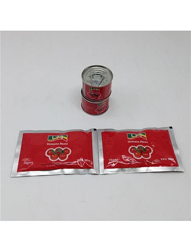  tailles de Sauce tomate en conserve Ketchup biologique