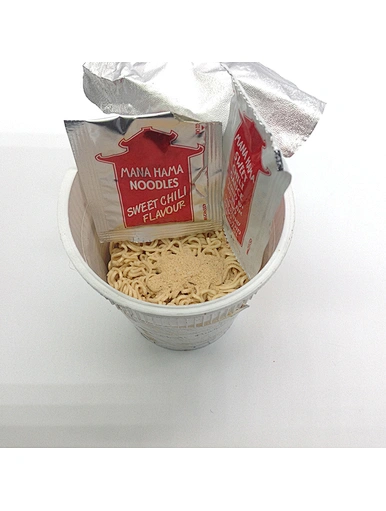 Nouilles instantanées à faible teneur en glucides en gros