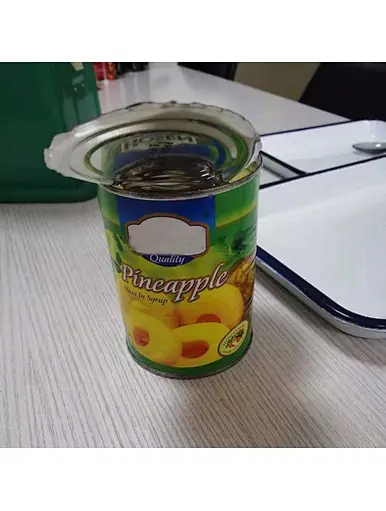 Meilleures tranches d’ananas en conserve au sirop léger/lourd par