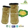 18l canned bamboo shoot