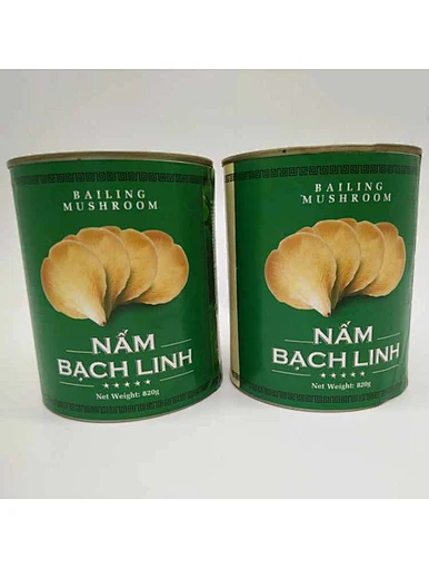 best edible mushroom