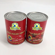 tomato paste 70g 2224