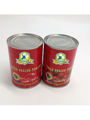 tomato paste 70g 2224