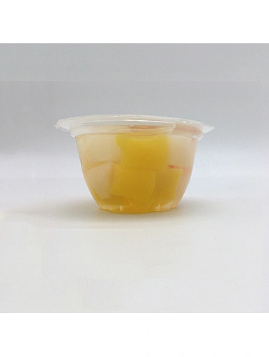 fruit pudding cup