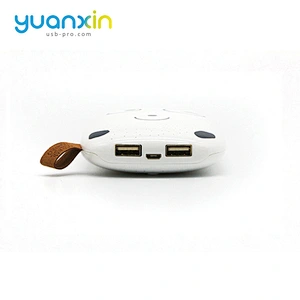 Hot Sale Oem Smart Power Bank Usb Portable Charge