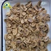 fresh mushrooms