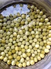 Les pois verts en conserve peuvent légumes aliments