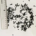 dried wakame seaweed 100g