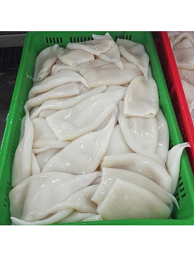 squid tube