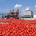 tomato paste processing line
