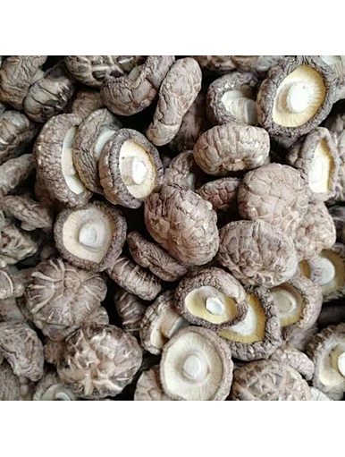 2019 vente chaude shiitake mushroom slice /shitake champignons séchés