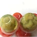 fresh dragon fruit manufacturers