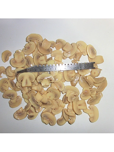 Vente chaude de bonne qualité meilleure nourriture fraîche en conserve de champignons