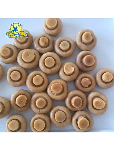 425 g de champignons en conserve