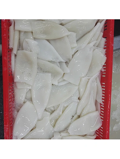 frozen giant squid tube