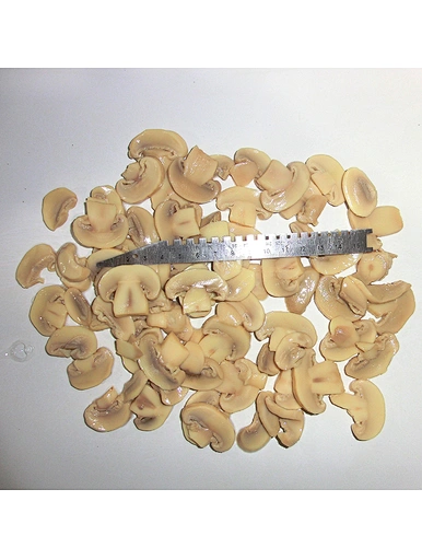 canned mushroom